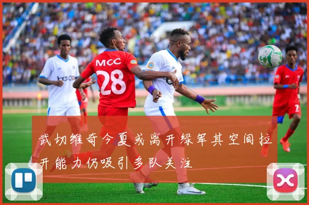 武切维奇今夏或离开绿军其空间拉开能力仍吸引多队关注