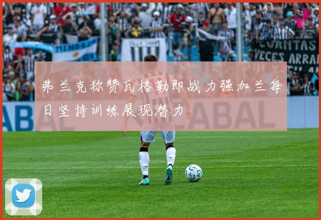 弗兰克称赞瓦格勒即战力强加兰每日坚持训练展现潜力